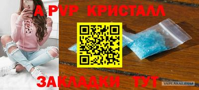 jwh Моздок