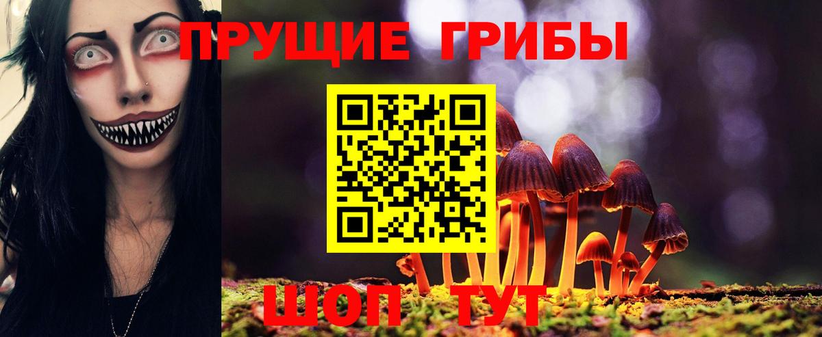 Галлюциногенные грибы мицелий Уссурийск